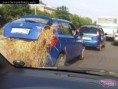 /album/fotogalerie-hloupy-napad/a-rich-landowner-eine-reiche-grundbesitzer-un-riche-proprietaire-terrien-bohaty-statkar-jpg/